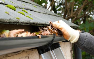 gutter cleaning Meadow Green, Herefordshire